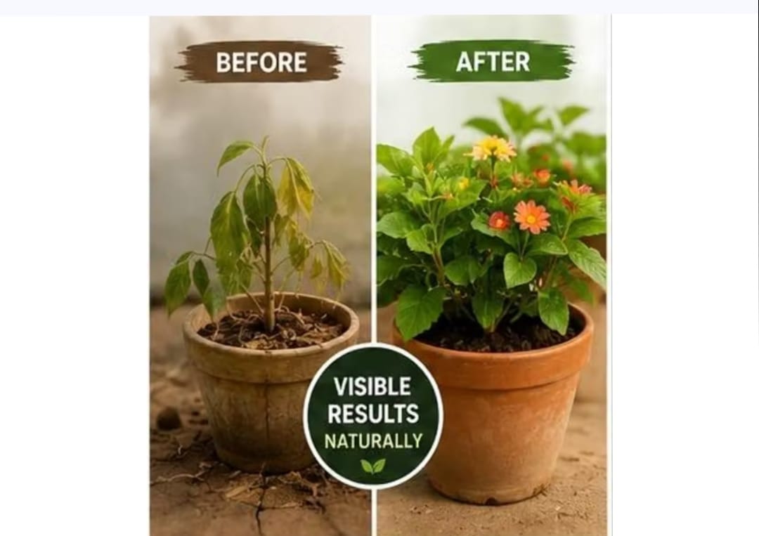 Sara Organic Black Gold Vermicompost